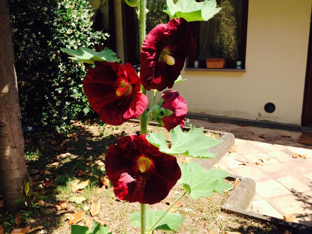 La Casa Di Scarlett Bed and breakfast
